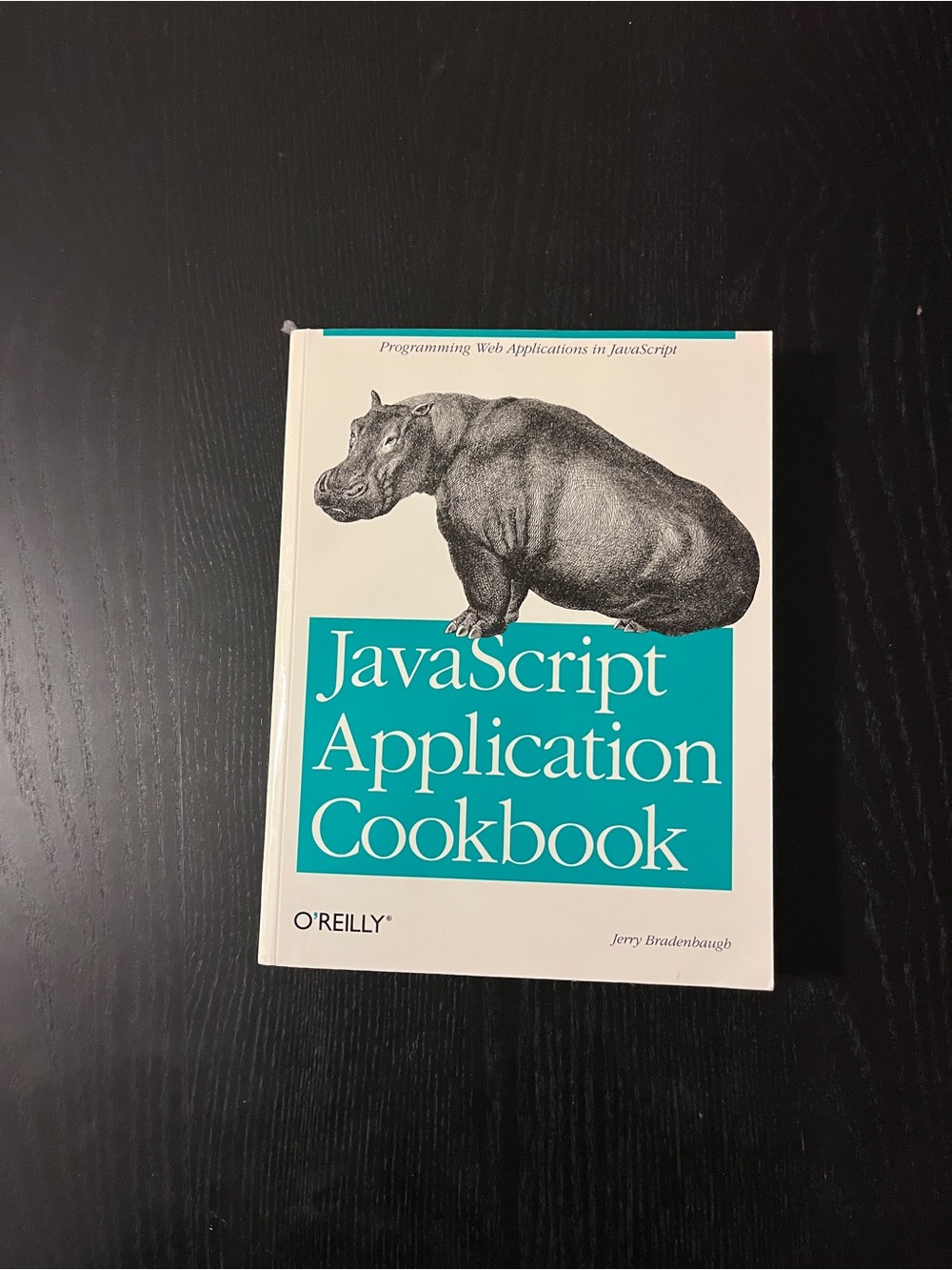 O'Reilly JavaScript Application Cookbook Book 1st Edition Jerry Bradenbaugh 1999